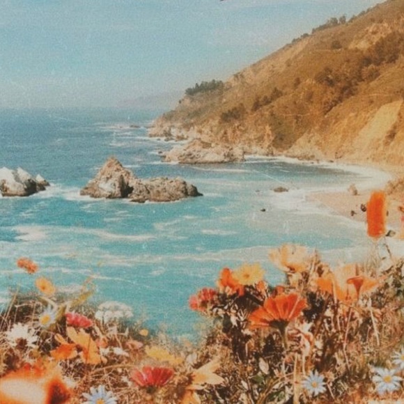 Meet your Posher, Tal - Picture 1 of 1